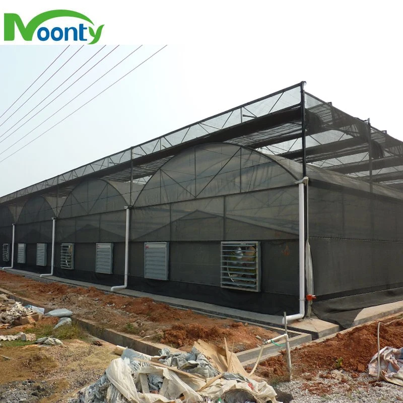 Factory Price Round Roof Multi-Span PE/Po Film Greenhouse for Vegetable/ Flower/ Herb Growing