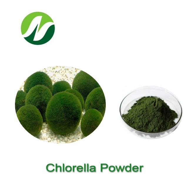Food Grade Organic Manufacturer Supply Chlorella Vulgaris 60% Protein Chlorella Powder