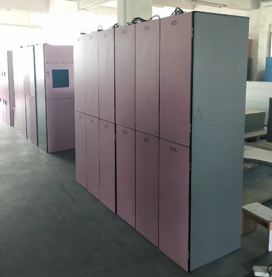 Durable and Colorful 12mm Compact Fiberboard 2 Door Lockers Cabinet for Fitness Clubs