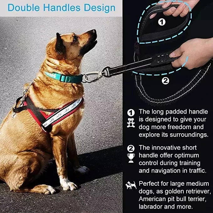 2023 Walking Dog Collar PVC Rubber Leash Pet Accessories Set Dog Leash