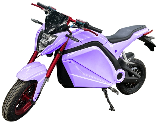 Factory Directly Sale Dirt Bike Electric Motorcycle 3000W Adult