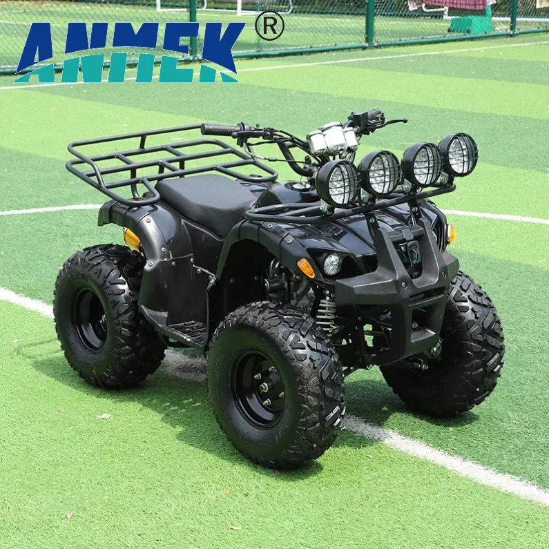 Fabricante Venta Directa 4X4 250cc 125cc Quad 500cc ATV/UTV Piezas 400cc off Road 800cc Remolque 200cc Neumáticos Eje Trasero Bicicleta Granja Niños ATV