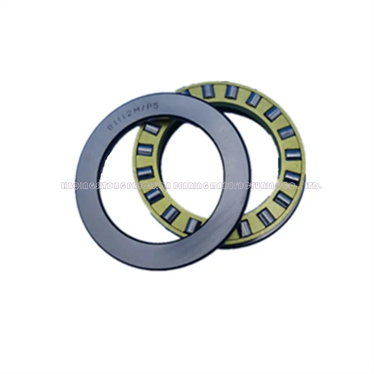 High quality/High cost performance  Radial Needle Roller Thrust Cylindrical Roller Bearing on Sale