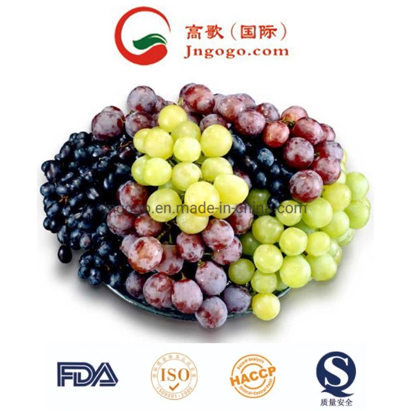 New Crop High quality/High cost performance Fresh Green Grape for Exporting