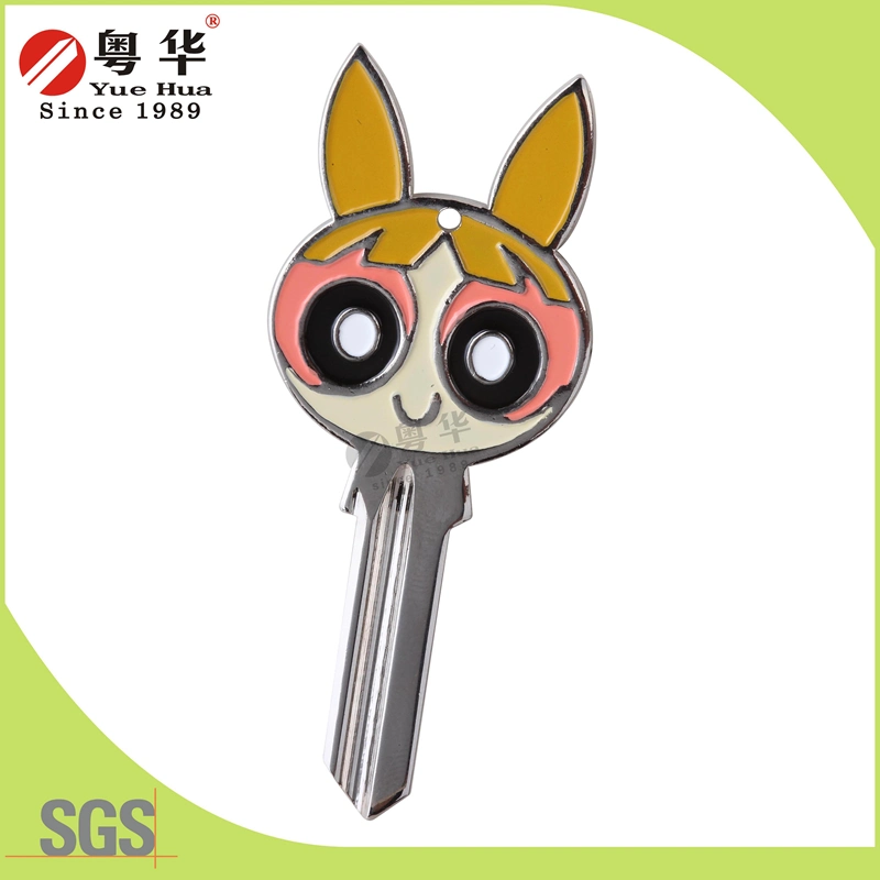 Factory Price Hot Sales Custom Colorful Fashion Metal Art Blank Key for Locks