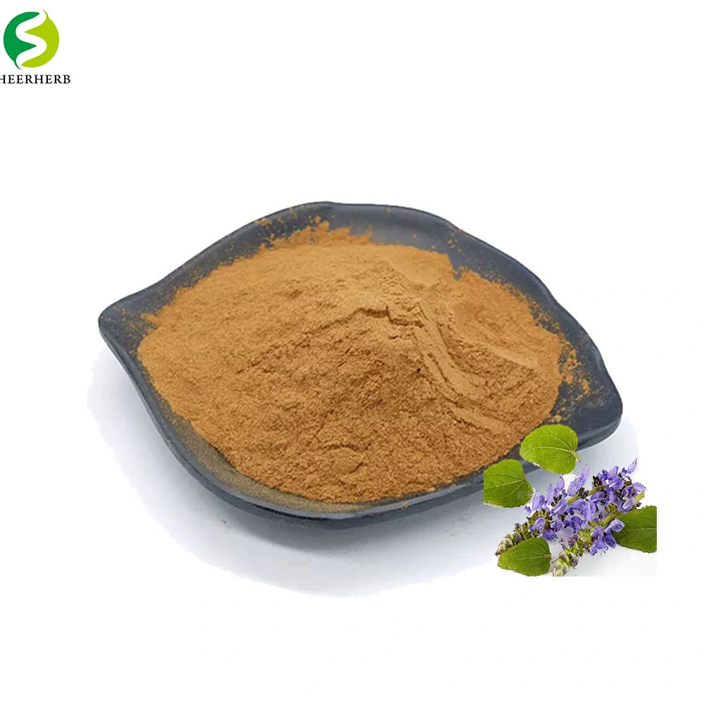 No Additives Food Grade Coleus Forskohlii Extract Powder