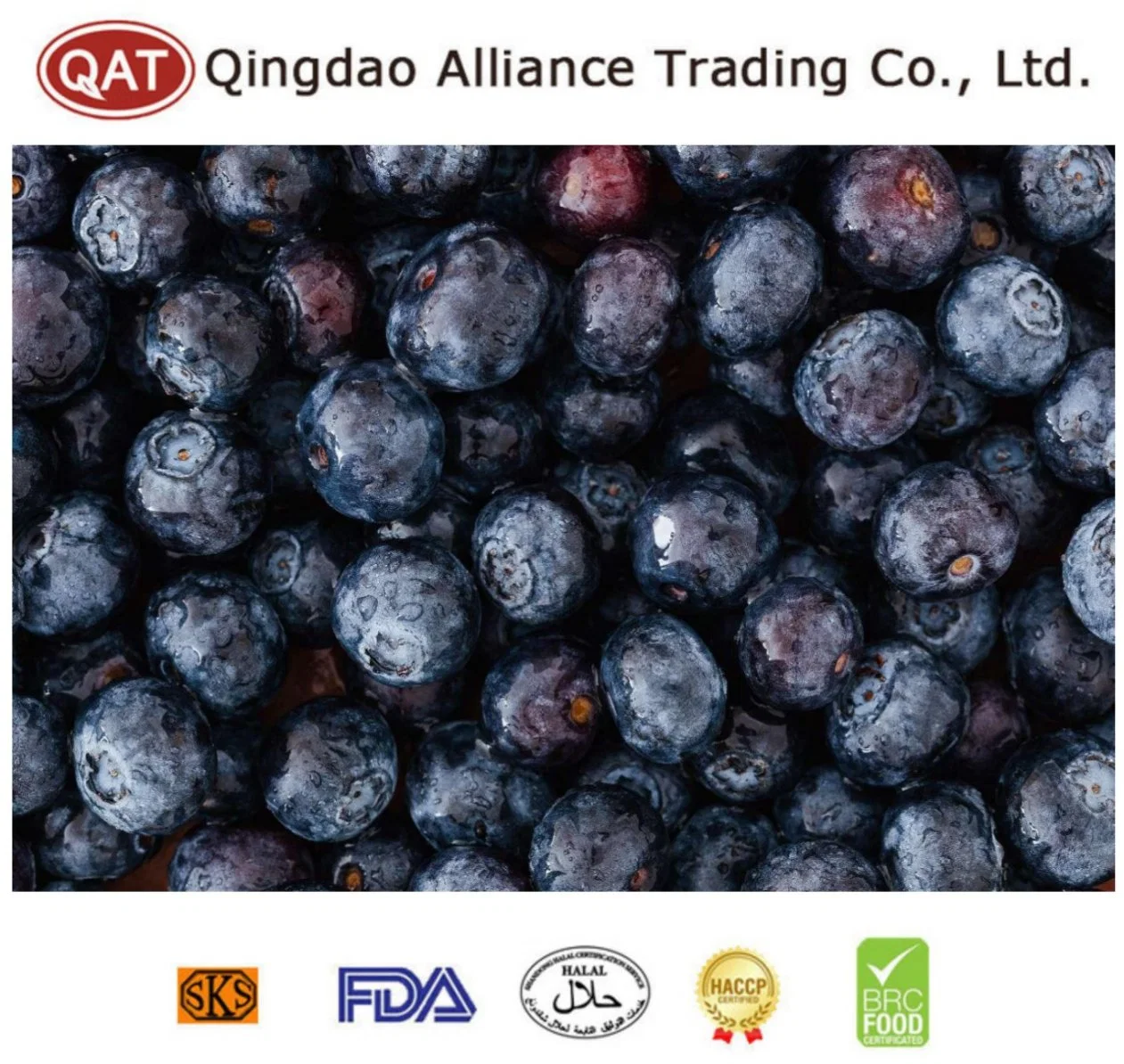 Chinese Factory Exports Top Quality Frozen Blueberry with OEM Service