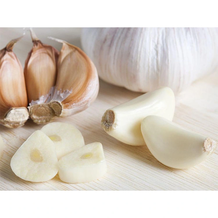 Wholesale/Supplier Fresh Normal Pure White Purple Chinese Garlic