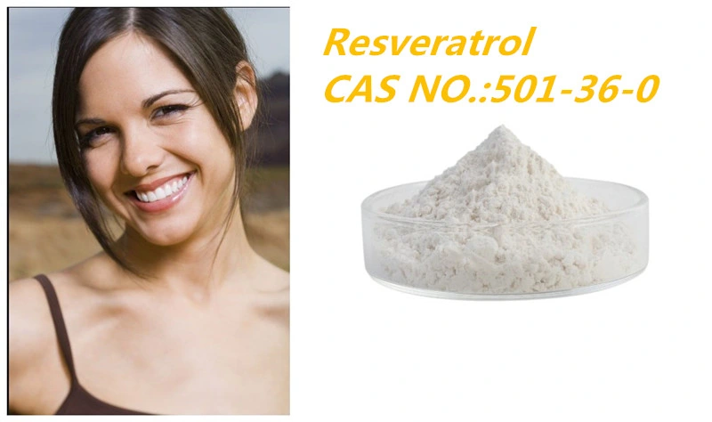 مستخلص طحالب عملاق البوليغنوم Cuspidatum مستخلص Resveratrol مسحوق Resveratrol