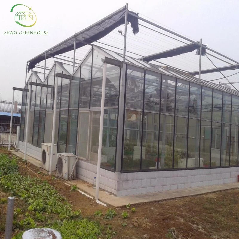 Modern Ecological Multi-Span Glass Greenhouse with Hydroponic System for Vegetable Cultivation