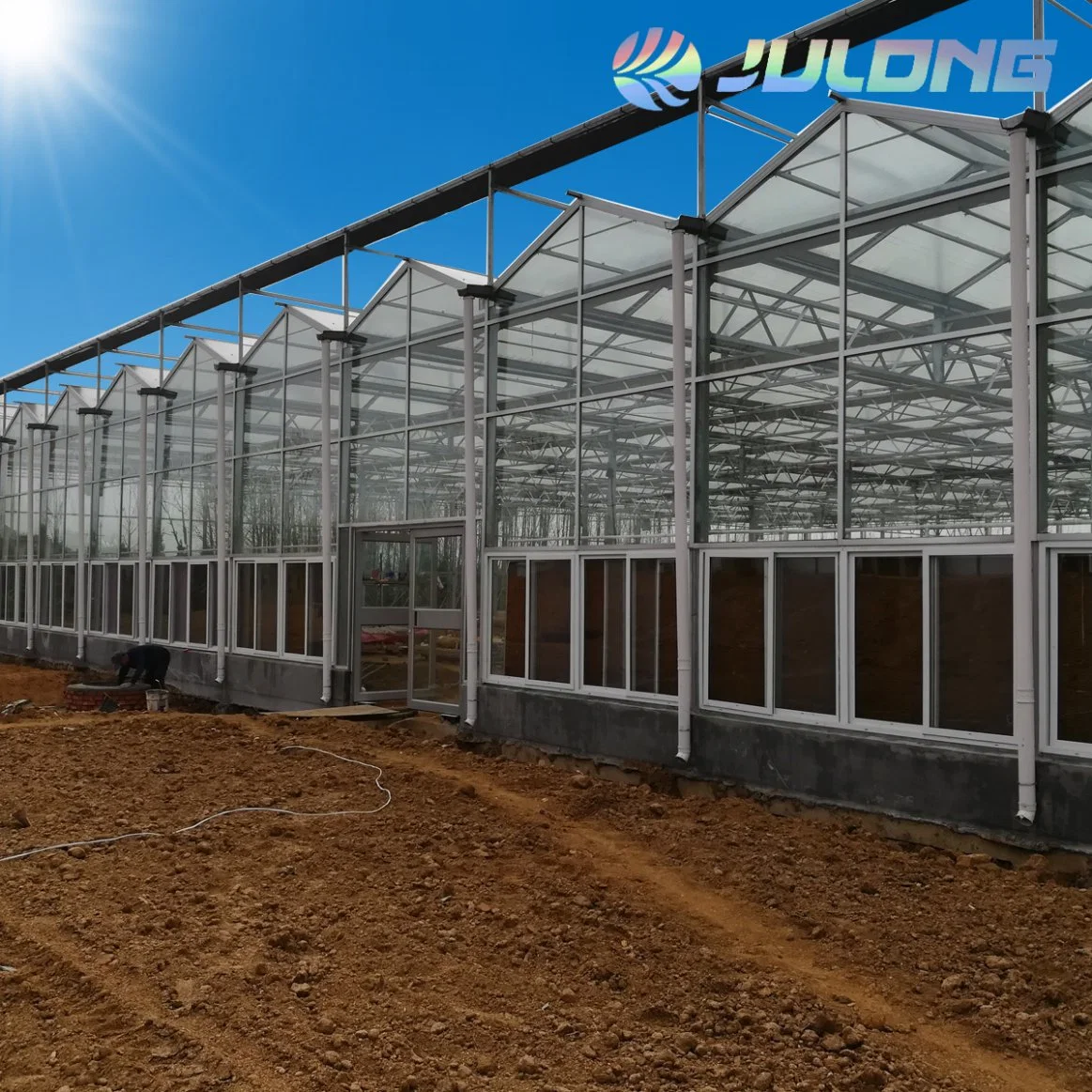 Aluminum Frame Vegetable Commercial Venlo Type Glass Greenhouse for Agriculture Garden Farm