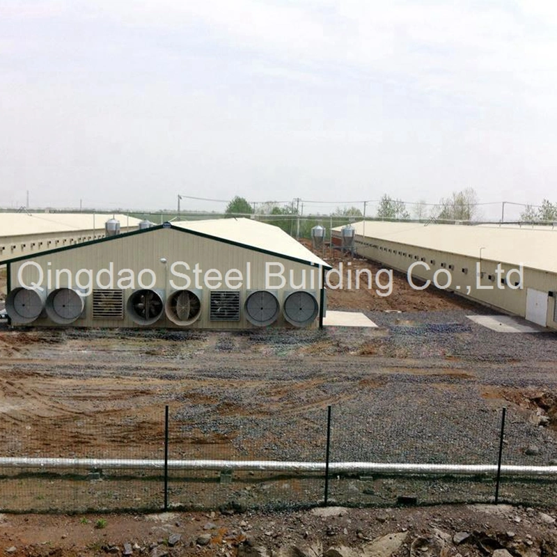 Chicken House Light Steel Structure Prefabricated Metal Building