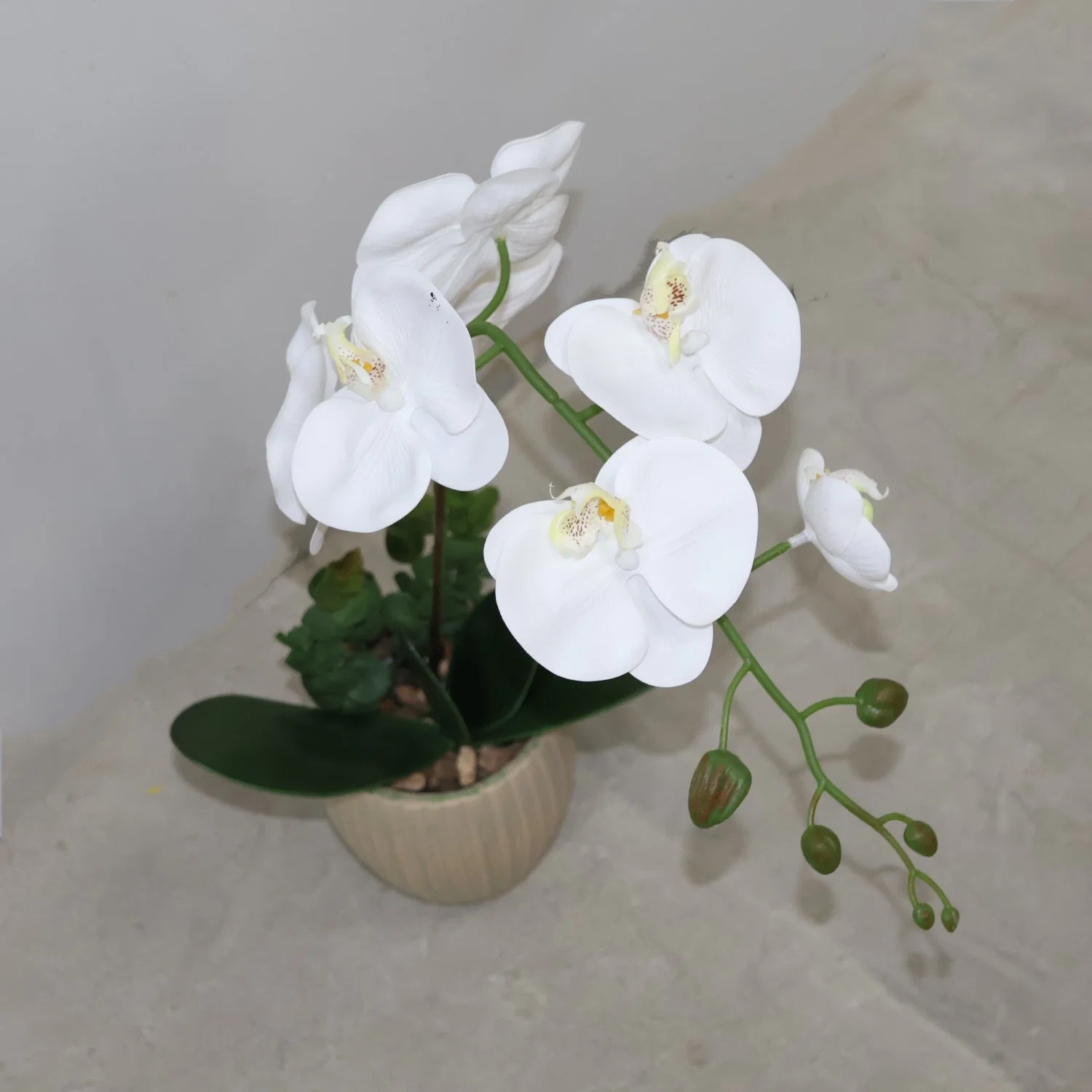 Phalaenopsis Moth Orchids Artificial Silk Flower Indoor Potted Green Plants