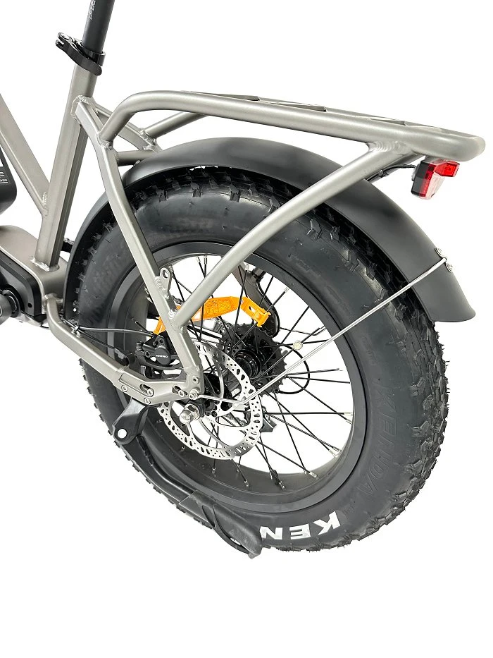Queene/2023 New High Speed Ebike Fat Tire Electric Bicycle 750W 48V E-Bike 20 Inch E Mountain Bike Electric Dirt Bike