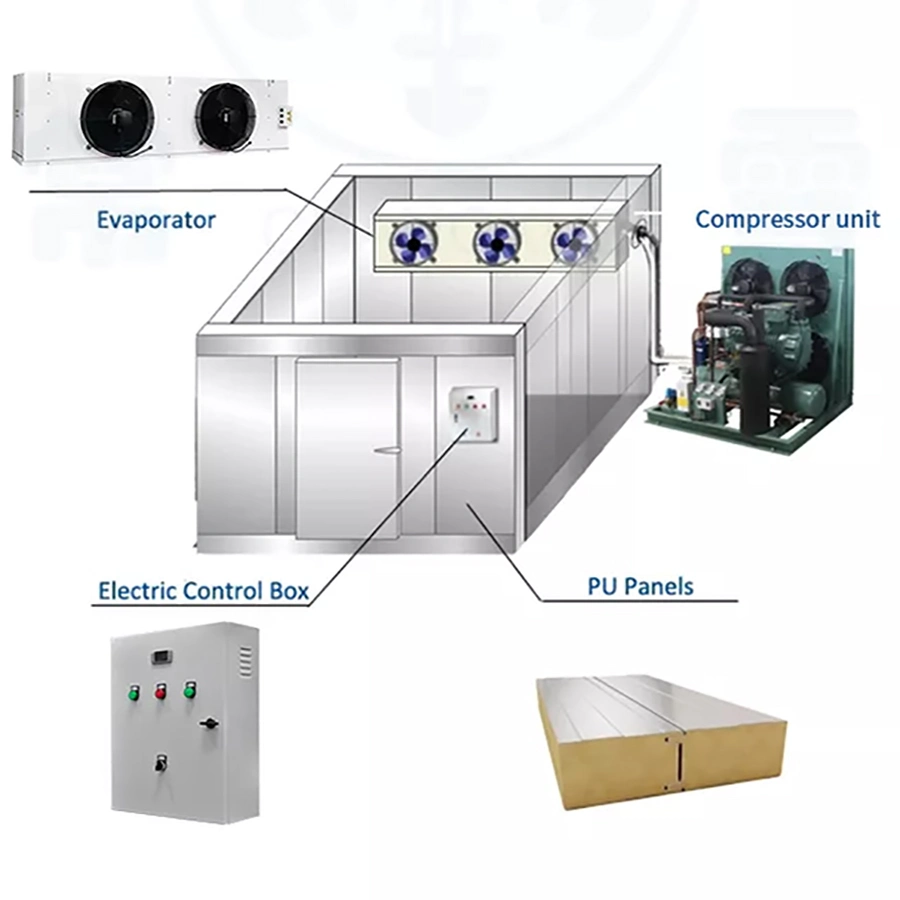 Hot Sell Cold Storage Room for Fruits and Vegetables