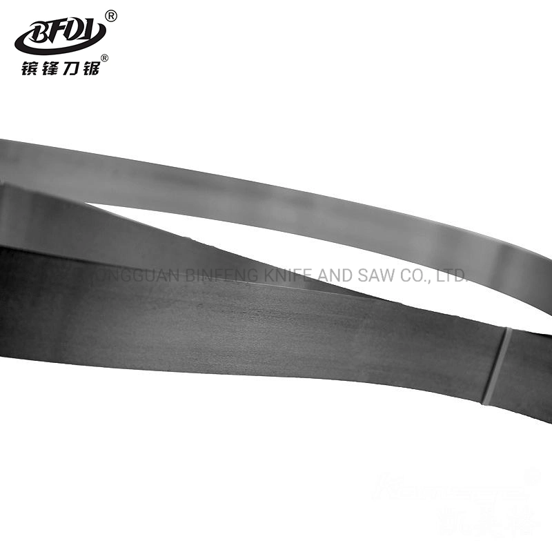 Band Knife Blade for Camoga Leather Splitting Machine