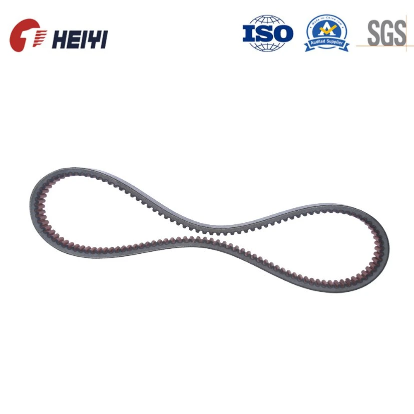 Hi Hdj HK Hl Hm Hn Ho Hq Agricultural Variable Speed V Belt for Combine Harvester