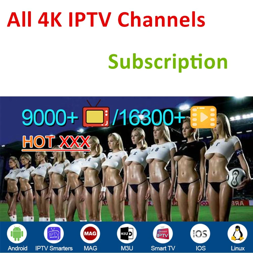 Panel de revendedor de IPTV de la India India Suscripción crédito Servidor M3U Código 4K