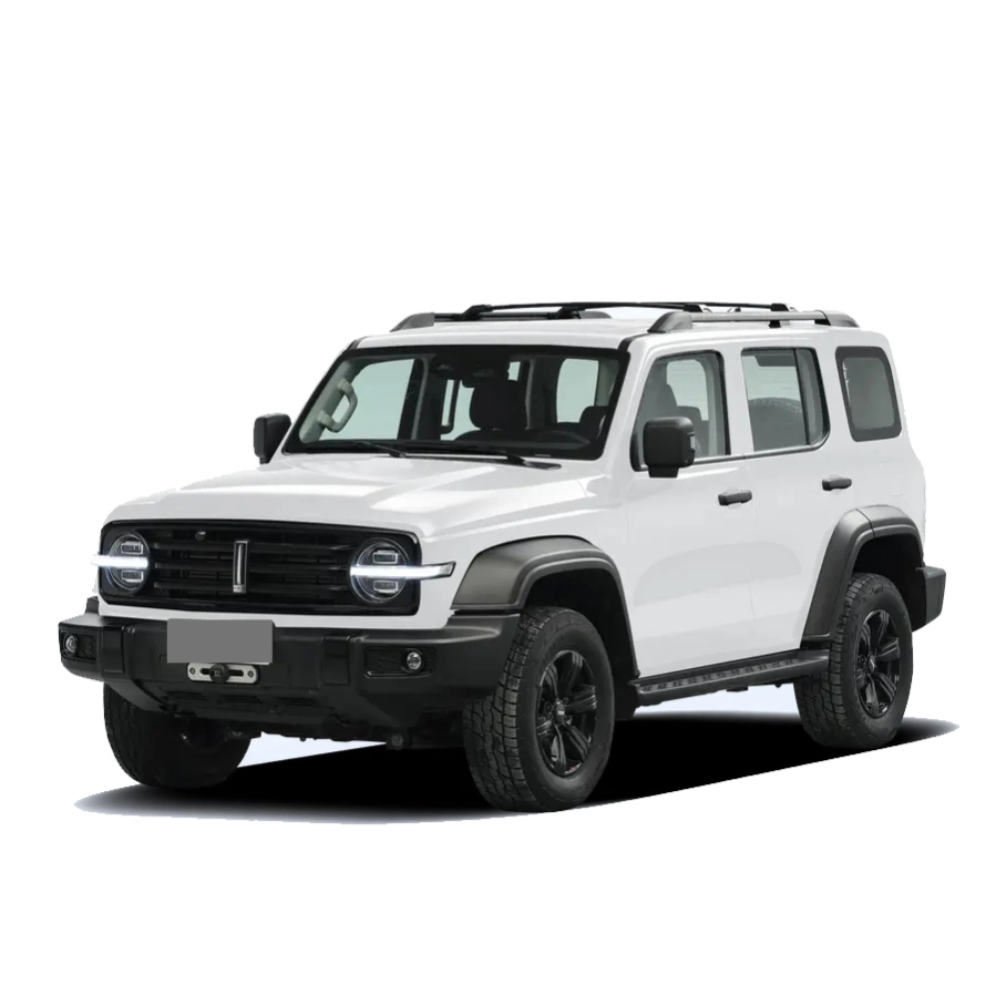 Heißer Verkauf Changcheng Marke Auto Tank 300 2,0t Jeep SUV Neuwagen für Verkauf