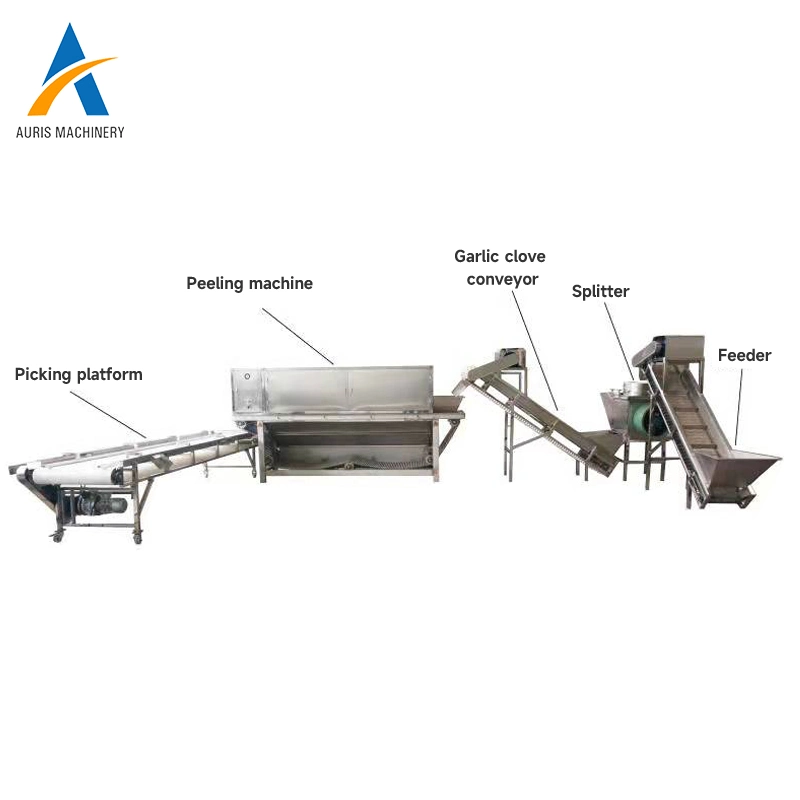 High Capacity Automatic Garlic Processing Line Garlic Bulbs Dividing Garlic Cloves Peeling Machine