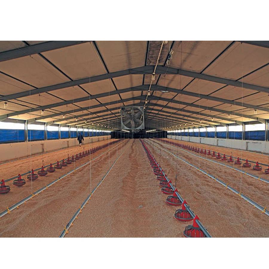 Chicken Farm House Automatic Pan Feeder Line Price Broiler Feed Auger Breeding Feeding Machine System Poultry Farming Broilers Feeding