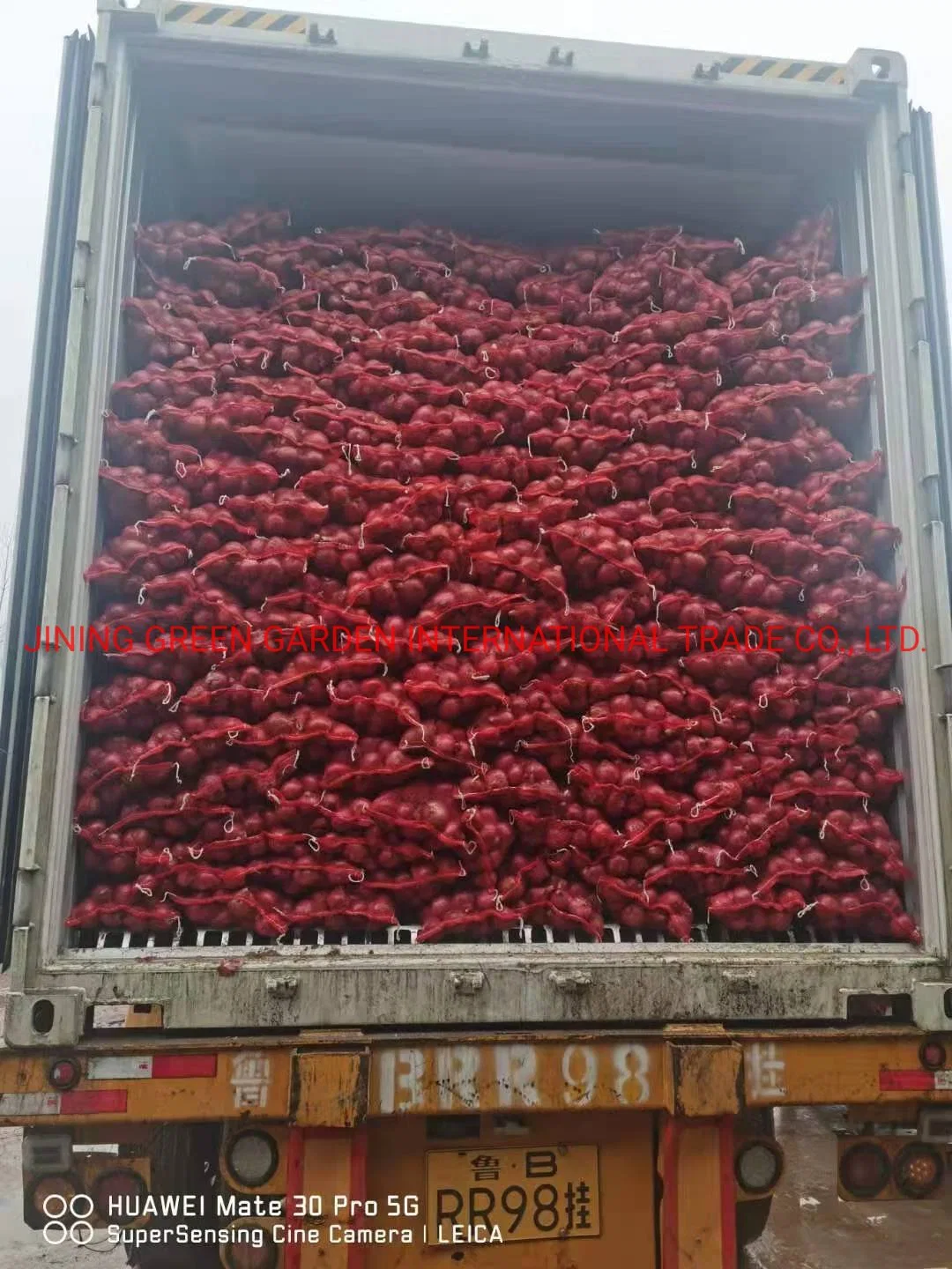 2021 Fresh Red Onion Fresh Red Skin Onion China Shallot 3-7cm,5-8cm,7-9cm,9cm & up Pack in 20kg,10kg,5kg Mesh Bag Fro Wholesale Direct Producer Supply Exporter