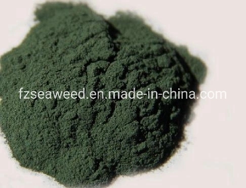 Approvisionnement en usine haute Quantilité Organic Spiruline Powder