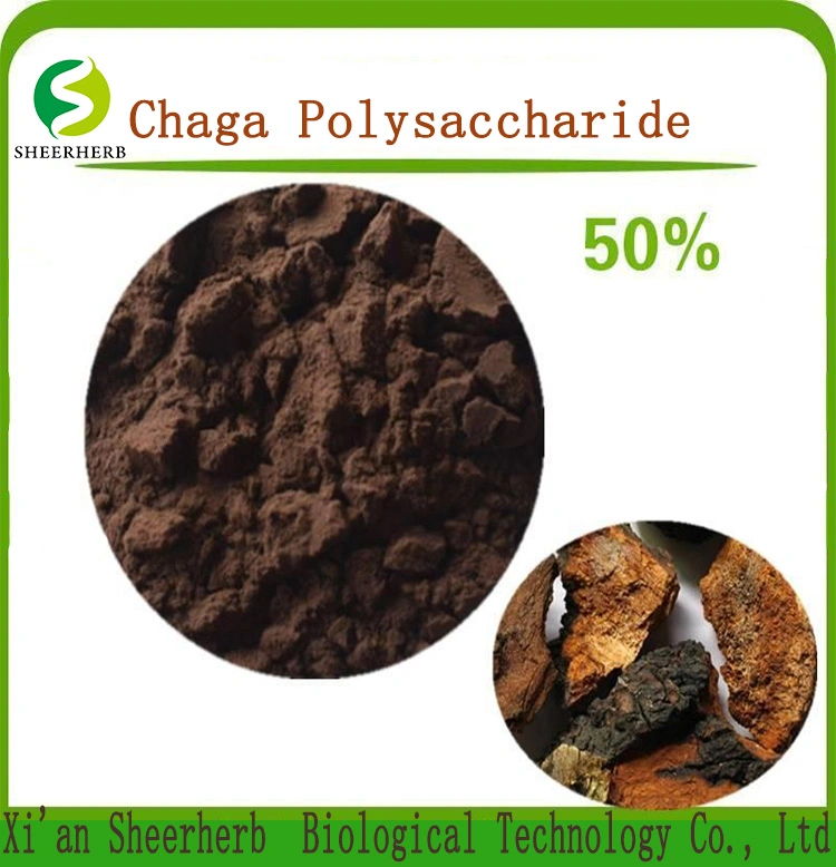 Sheerherb Natural Plant Extract Organic Chaga Mushroom Extract with Polysaccharide 20% Herb Herbal