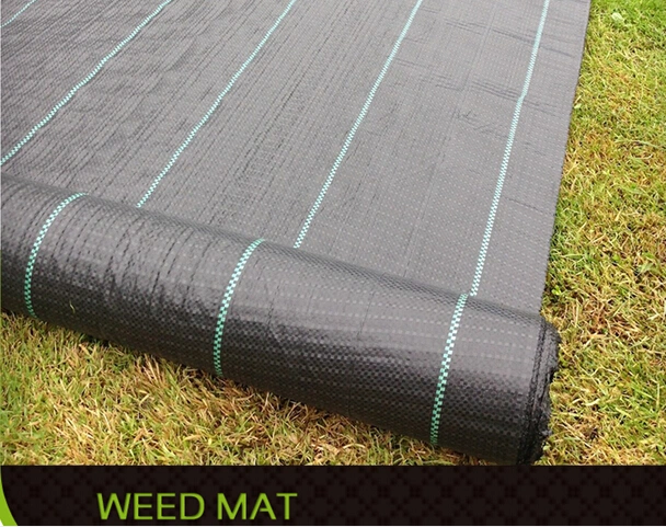 PP Weed Mat/PP Woven Geotextils/PP Agriculture Mat for Lawn
