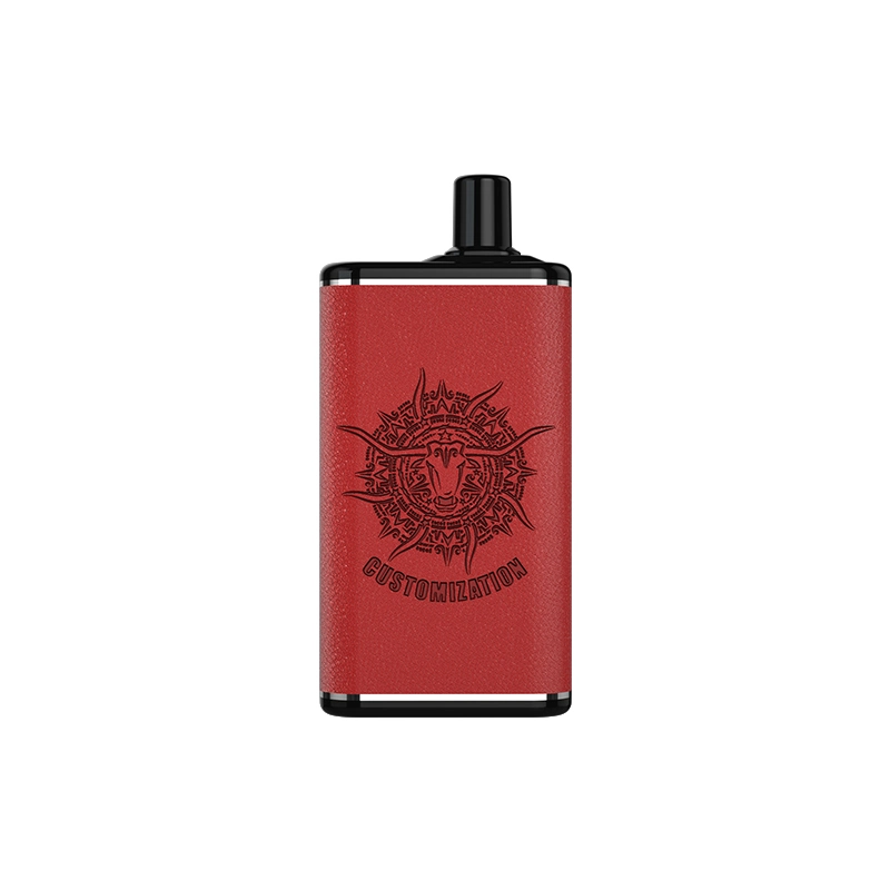 OEM/ODM de malla de soporte de venta al por mayor de la bobina de Cigarrillo Electrónico Desechable recargable 8000 inhalaciones Vape Mod con precio razonable.