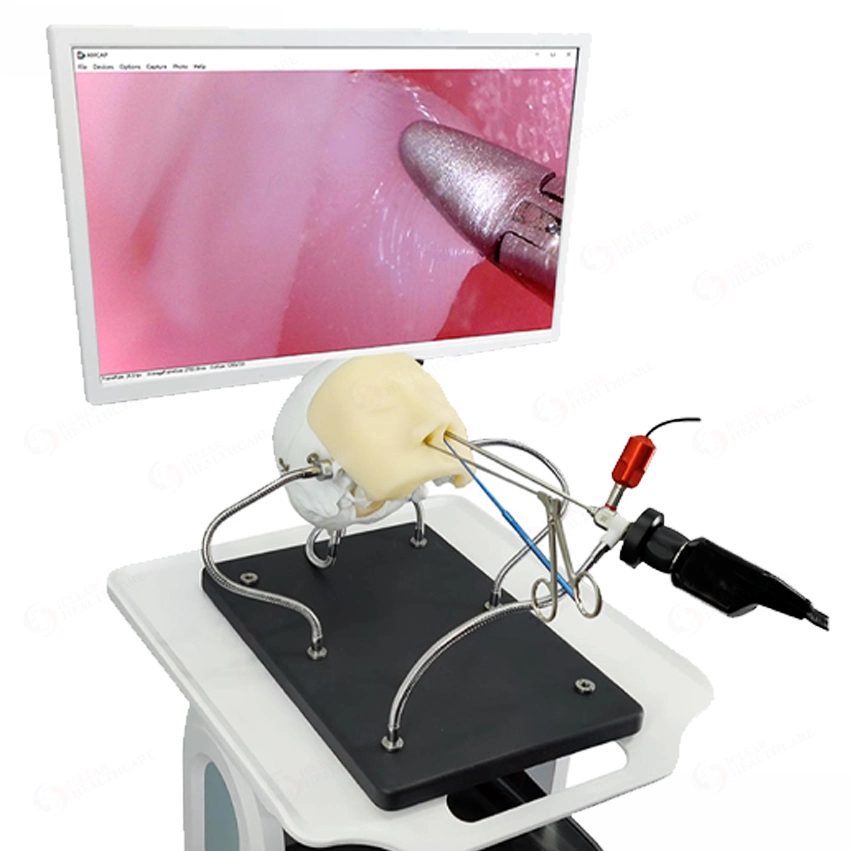 Simulador de neurocirugía neuroendoscopia Dispositivo de entrenamiento de dispositivos de formación