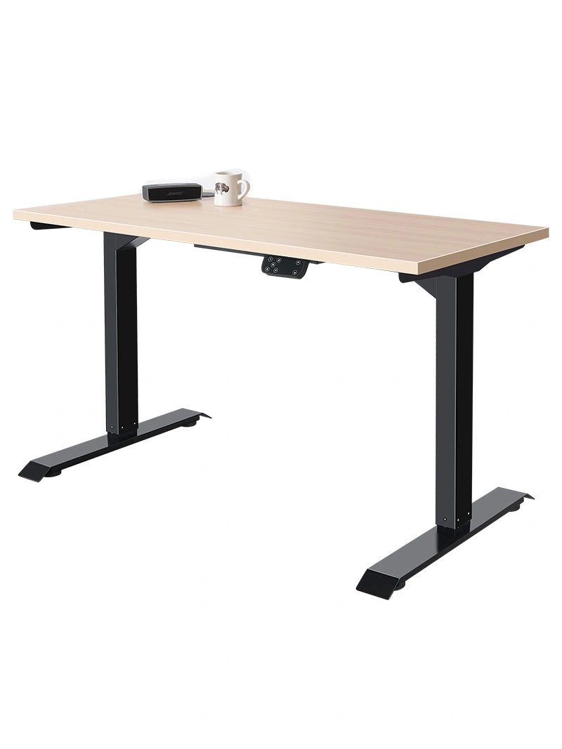 Electric Executive Home Stand up Dual Motor Height Adjustable Standing Desk