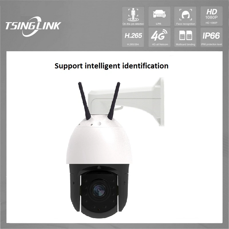 Manufacturer Price Forest Unmanned Places 4G WiFi Wireless H265 Speed Dome PTZ 1080P Camera