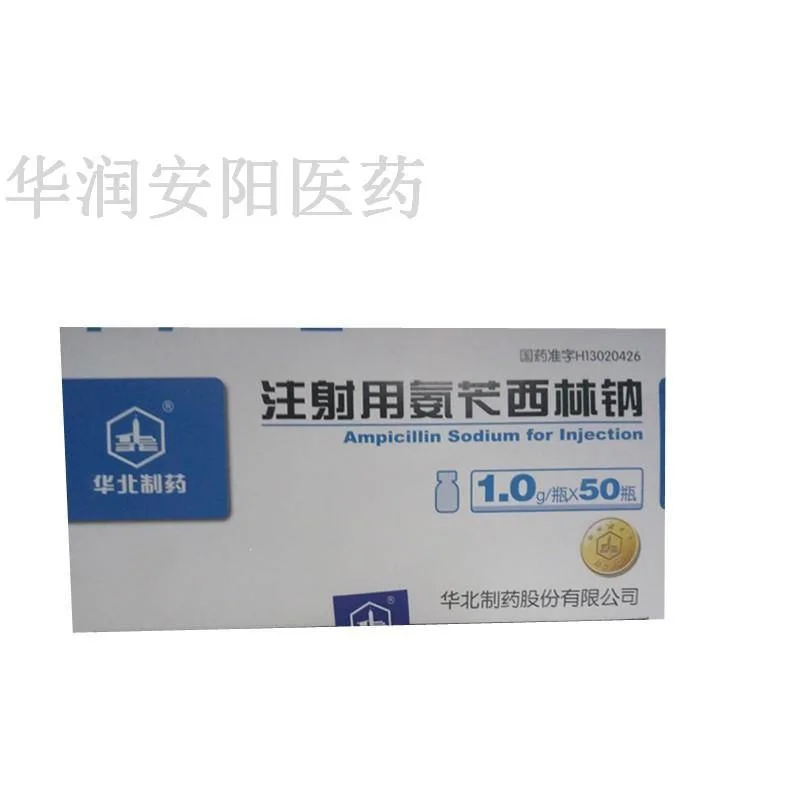 Pharmazeutische Fertigung China NCPC Fabrik Ampicillin Natrium für Injektion