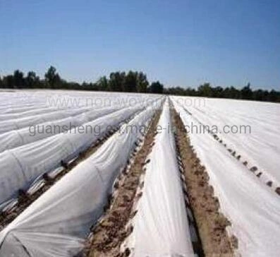 Zhejiang Guansheng Ccompany Made in China Good Quality Good Serves Moisturized Plant Fabric Nonwoven Fabric Agriculture Covers Fabric