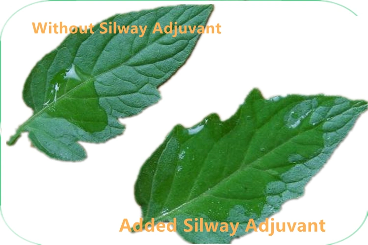 Silway 248 adyuvante de silicona para la pulverización de productos químicos agrícolas