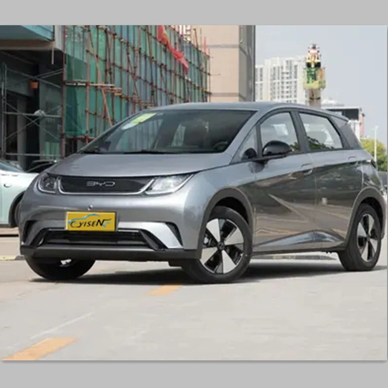 Hot-Selling New Energy Electric Vehicle with High Appearance