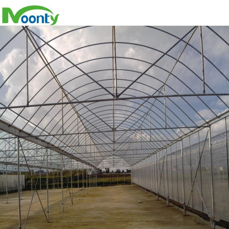 Best Greenhouse Covered with Polythylene Film for Agricultual/ Commercial Growing