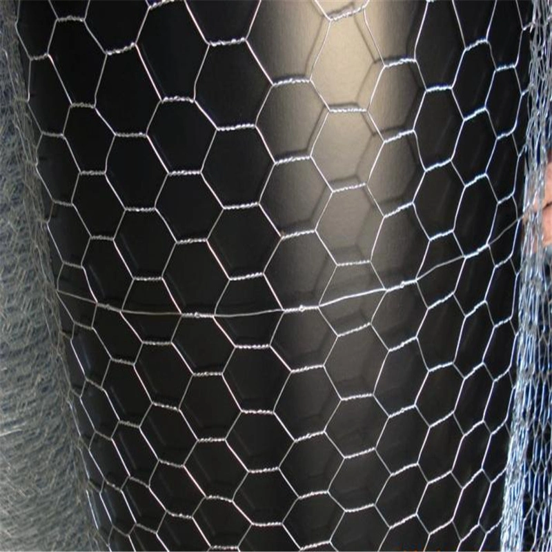 Various Sizes PVC Coated Hexagonal Wire Mesh