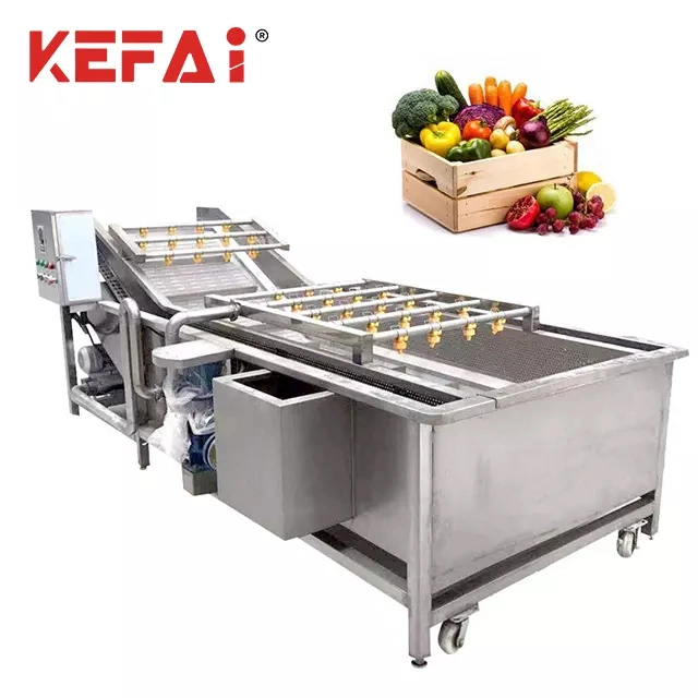 Kefai Fruit and Vegetable Washing Cleaning Machine Washer Price