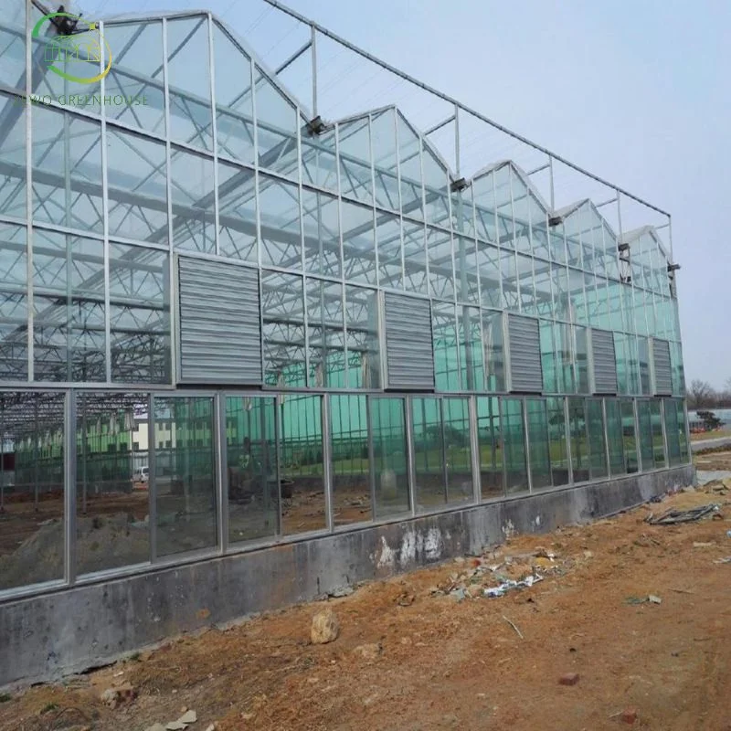 Landwirtschaftliche Glasfolie Gewächshaus mit Außen / Innen Schattierung und Kühlung System für Tomaten und Erdbeeren