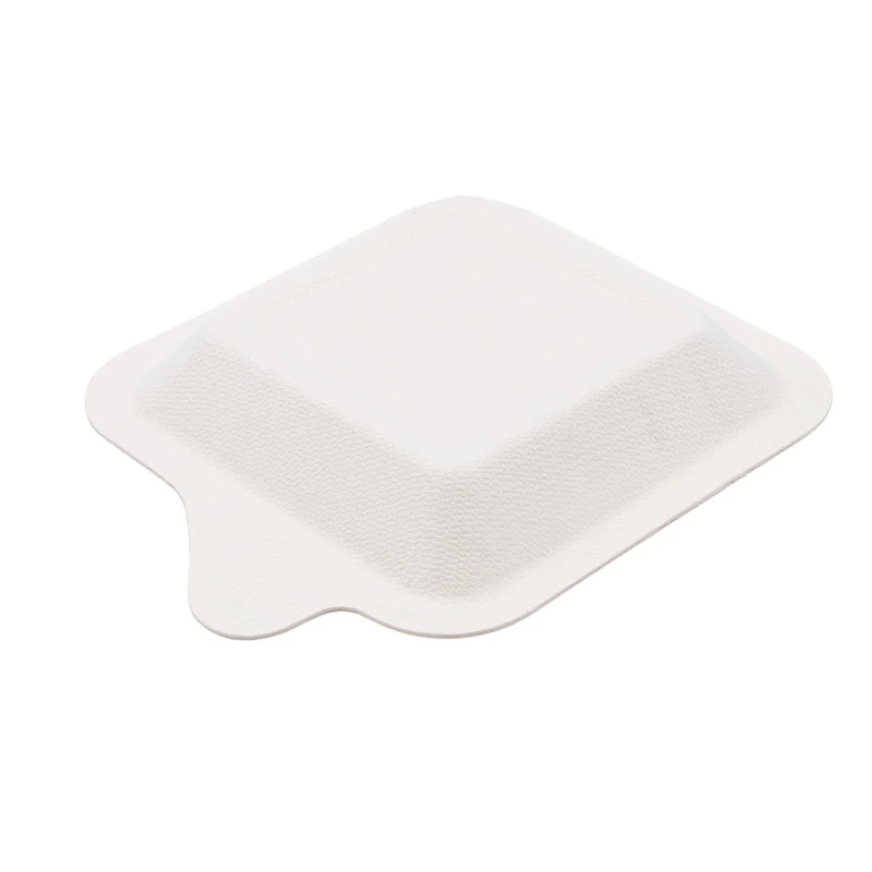 Eco-Friendly Disposable Sugarcane Cake Plate Party Supply