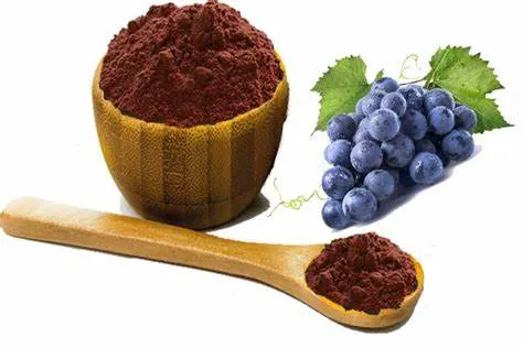 Natural 100% puro de Vitis Vinifera 95% de proantocianidinas (UV) Extracto de semilla de uva