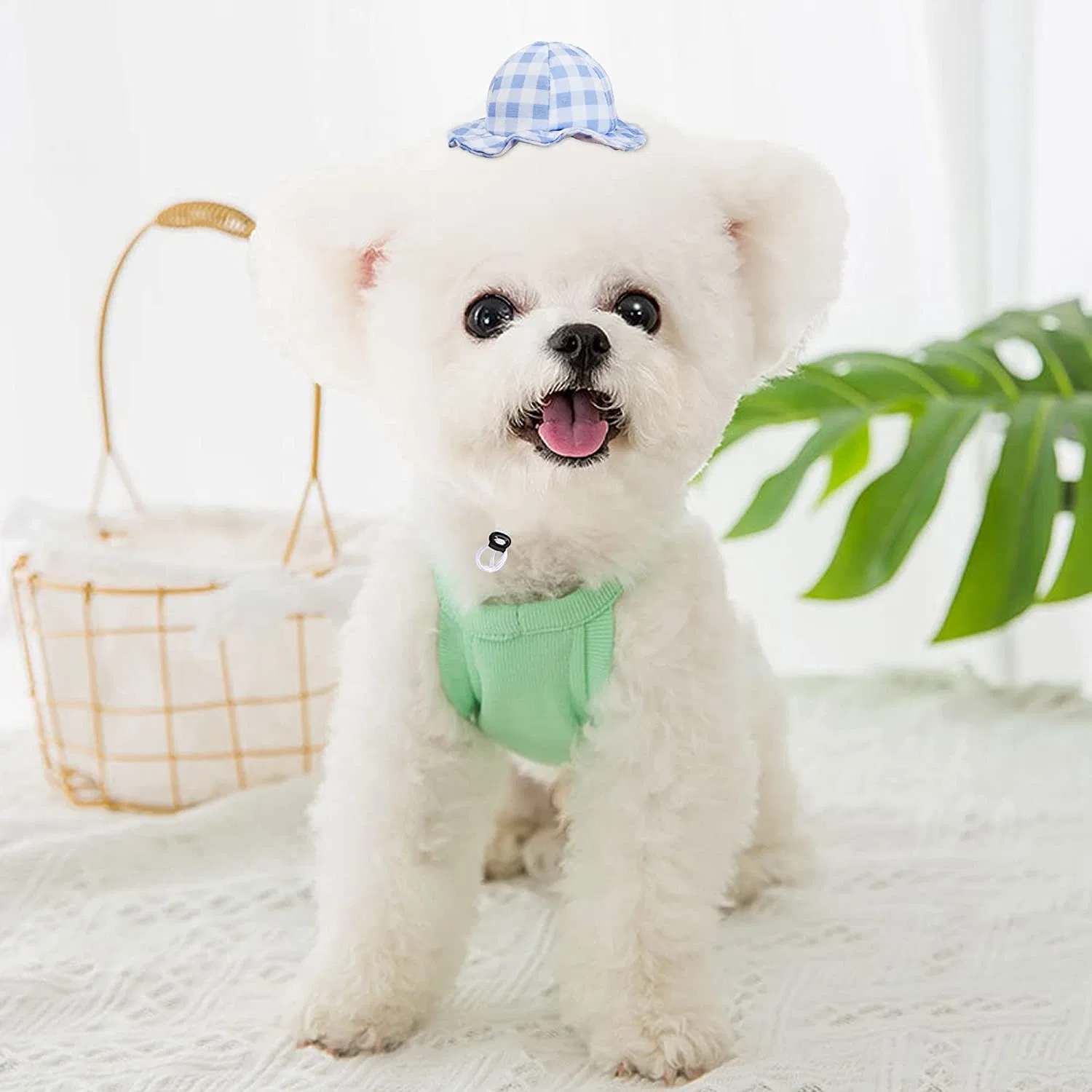 Dog Hat Cute Adorable Dog Cat Pet Cap Headwear Hat Adjustable Puppy Kitten Hats Pet Accessories for Birthday Party Outdoor Pet Hat