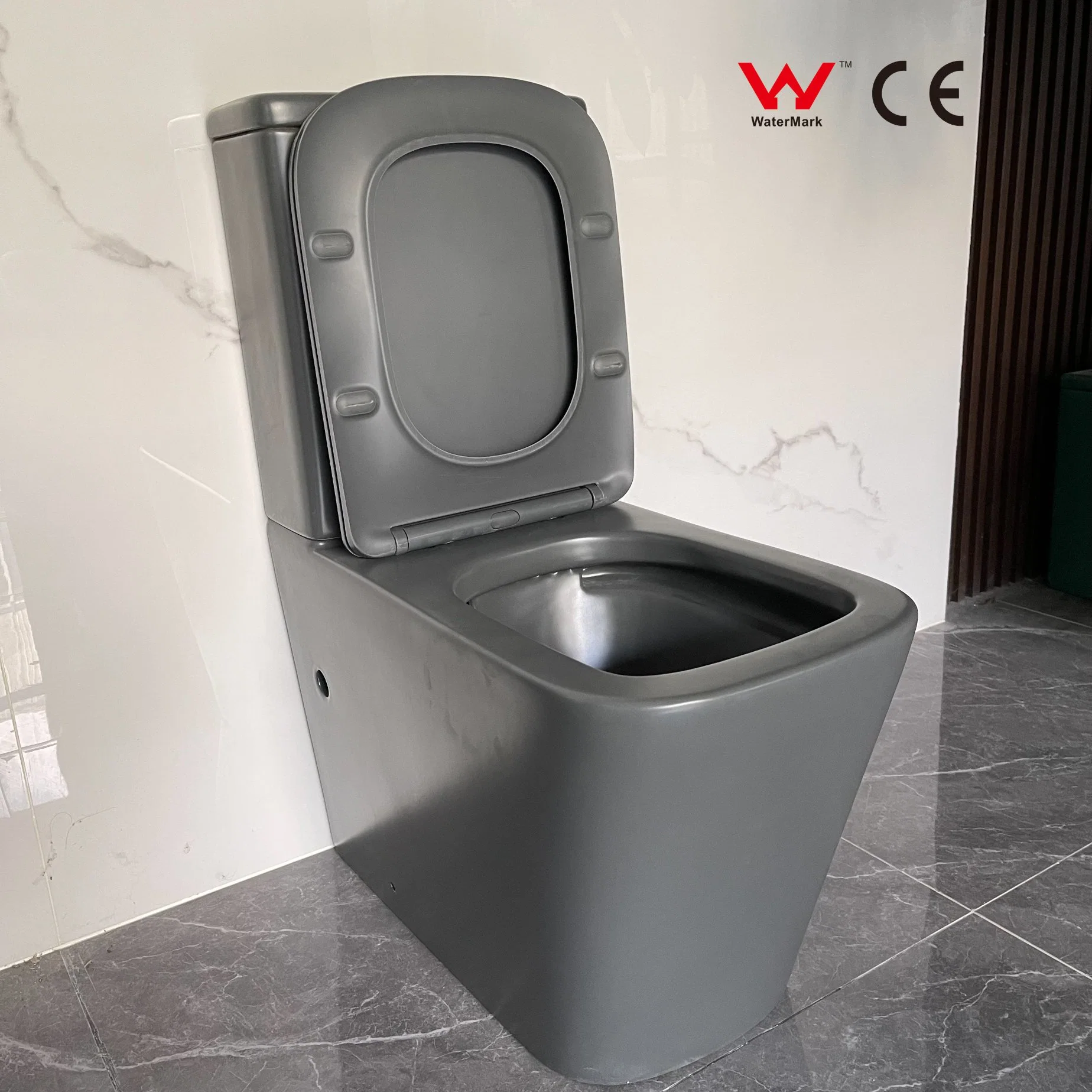 2023 Wasserzeichen CE Schließenhocker Fabrik Preis Luxus Multi Color WC. Badezimmer Wc.