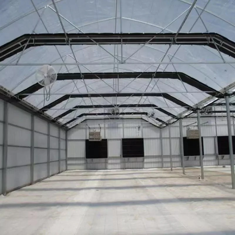 Light Deprivation Tunnel Plastic Plant Aeroponics System Single Span Greenhouse