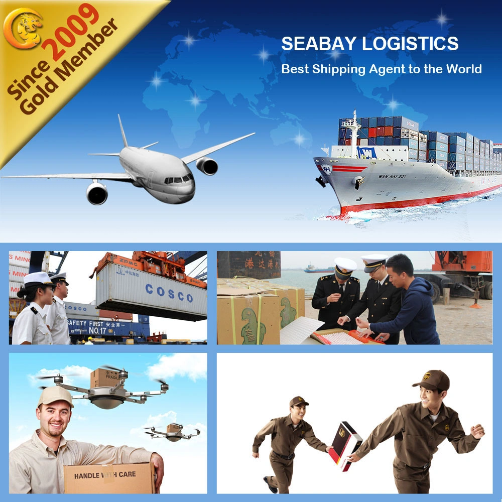 Dropshipping Ocean Freight Shipping Service From Shenzhen Shanghai Ningbo Qingdao to Singapore