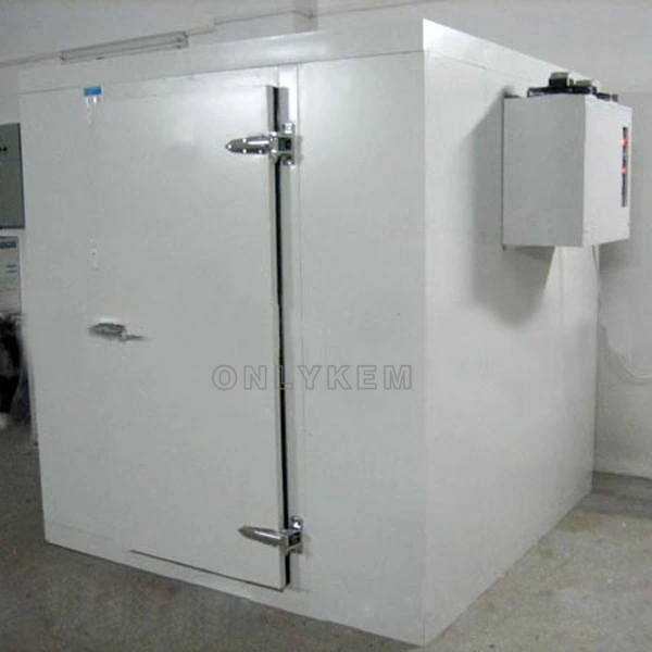 Portable Walk-in Cold Rooms for Kitchen Freezer Room Cooling Fridge Freezer Cold Storage Room for Food 10*10*10FT