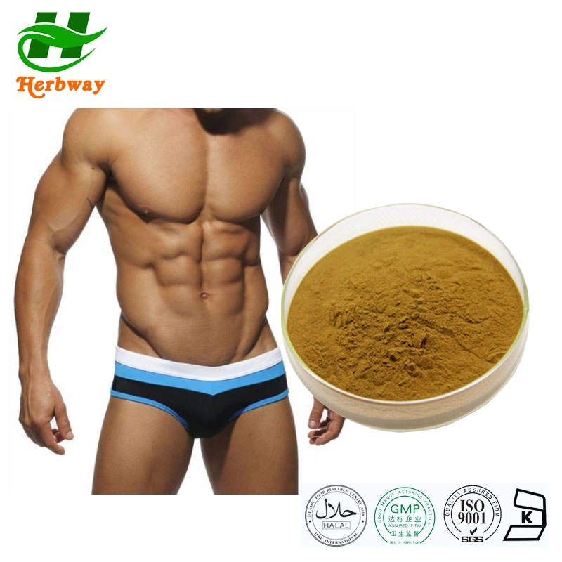 Extracto de plantas Naturales al por mayor de Herbway Extracto de Longjack Herbal Suplemento de Salud para el Hombre 200: 1 Extracto de raíz de Eurycomanona Tongkat Ali