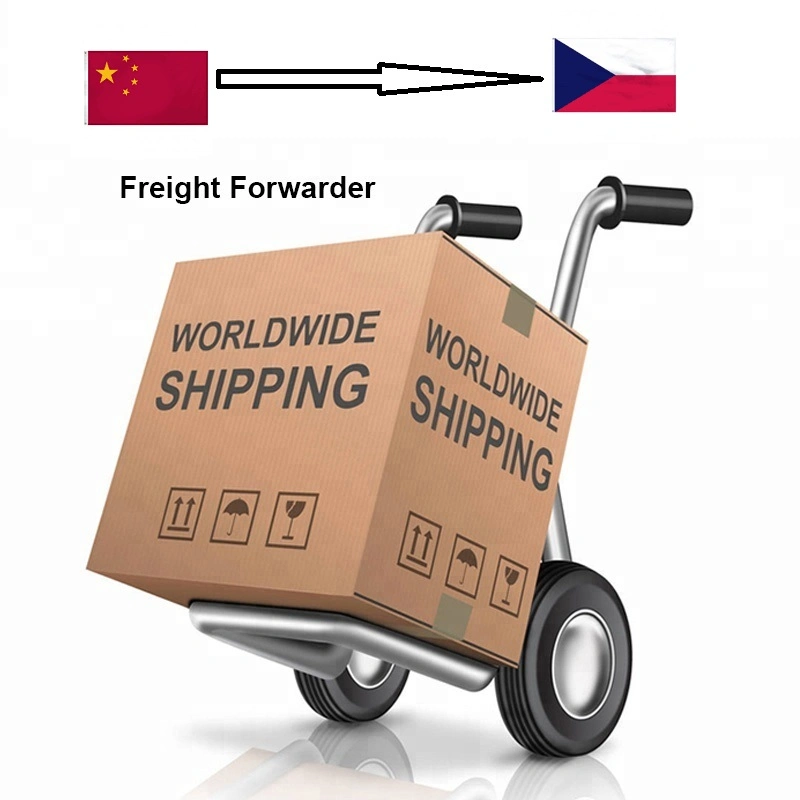 Door to Door Sea Shipping/Sea Freight /Ocean Freight Shenzhen to USA Amazon